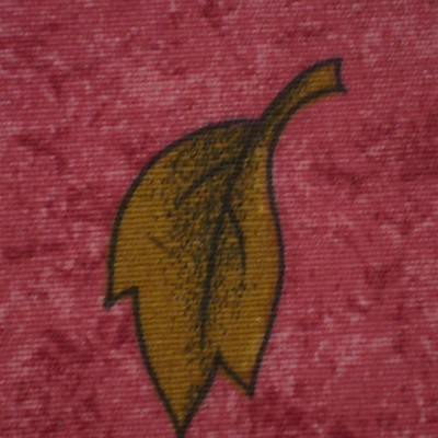 Avatar de Irene Siesto
